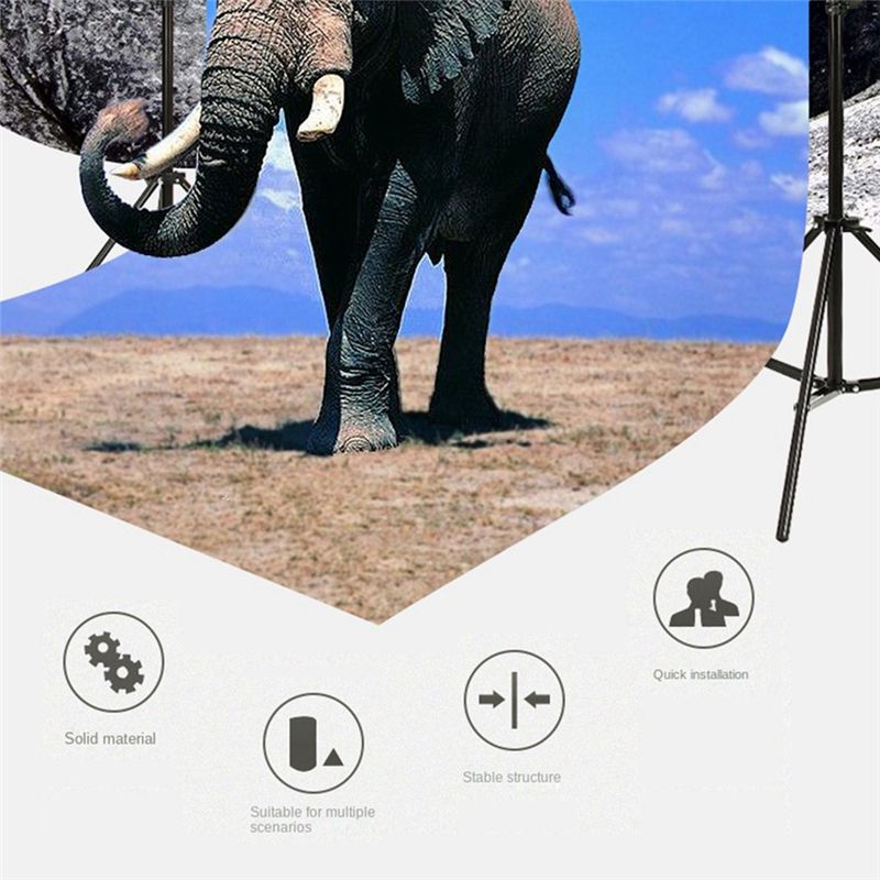 RISE-2M Handy-Livestream-Halte – Phone Accessories Background Bewertung und Preis